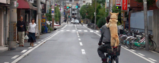 Douleur Au Bas Du Dos En Faisant Du Vélo