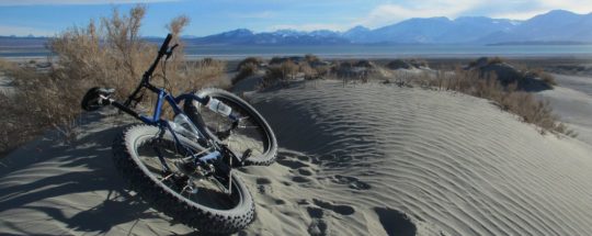 Vélos pour Sable : Guide complet + Les meilleures options