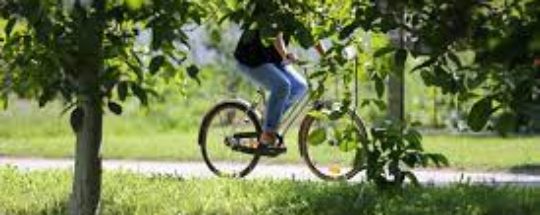 Qu’est Ce Qu’un Velo Cruiser/Velo Cruiser Definition